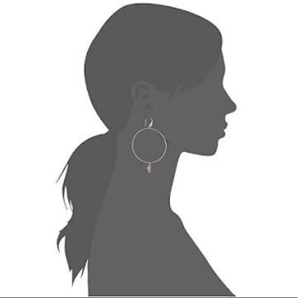 Michael Kors RGT Crystal Charm Drop Hoop Earrings - Picture 4 of 8